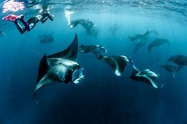 Baa Atoll